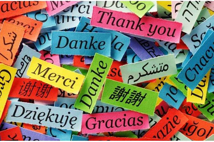 طفرة-علمية-غير-مسبوقة..-حبوب-تجعل-الإنسان-قادرًا-على-تعلم-لغة-جديدة-بالكامل-1300x600