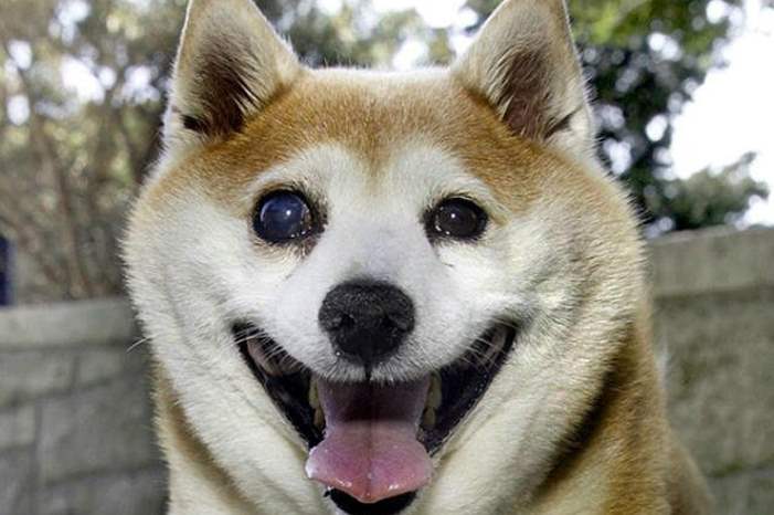 post-342774-208784_0