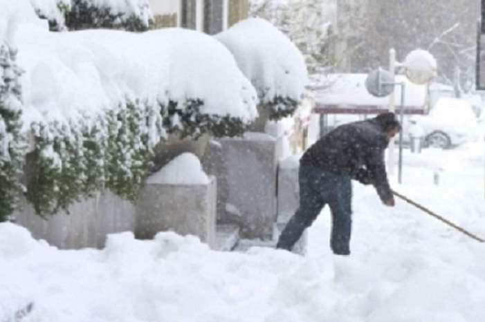 13923247461544809023-1300x600