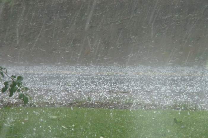 1220185115118482996137