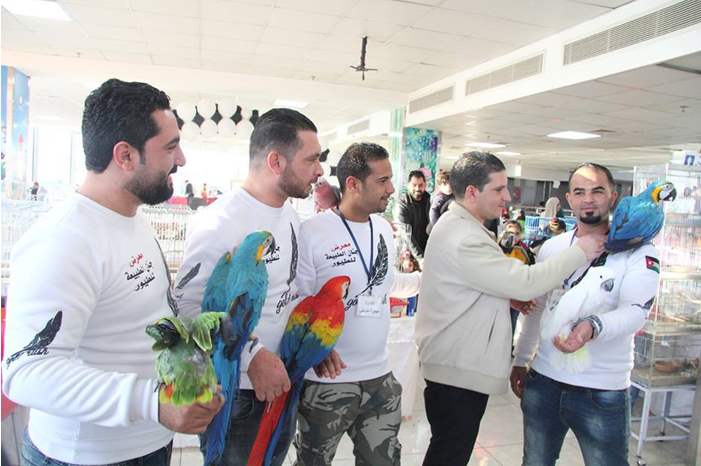 48387225_1208663179282538_4999281223181271040_n