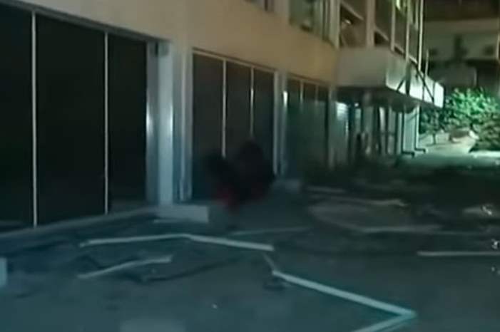 5c175576a54250.87640667_qipfkjmghnloe