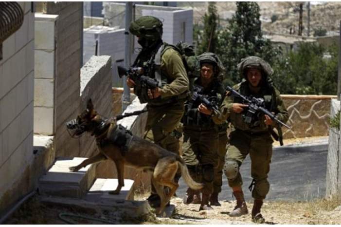 49ec3200e05176b945a92faec43b3e38