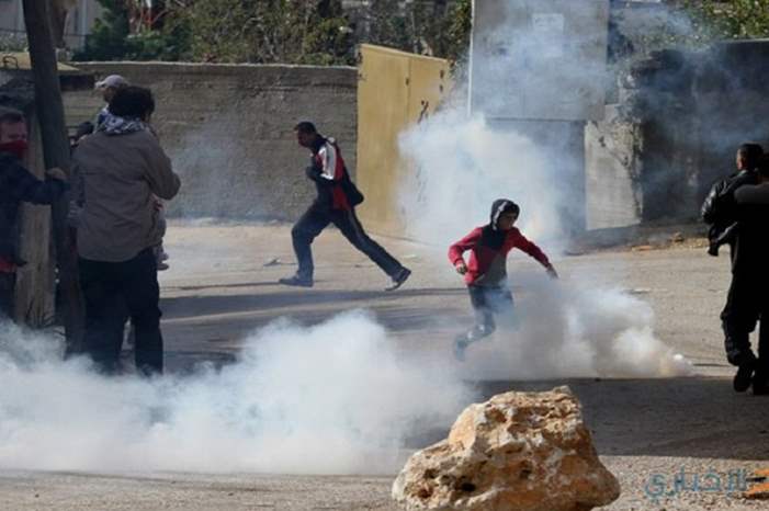 ebe2a9a606afd684339bb34cc412a549