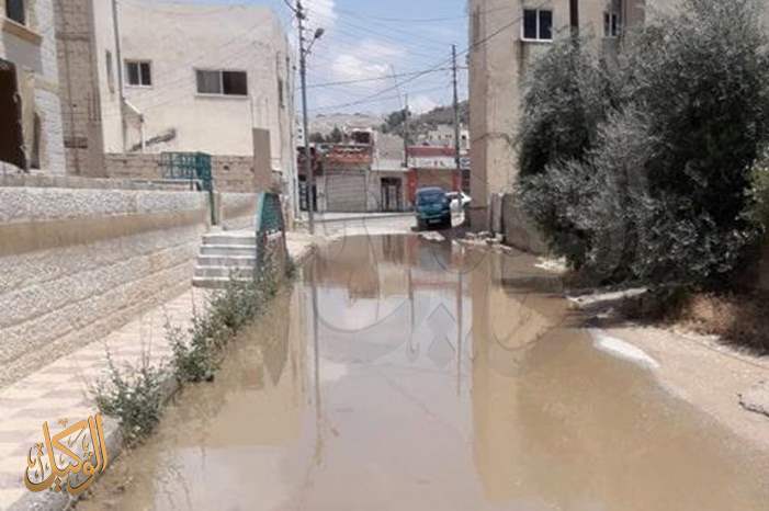 47578776_1819383831504027_4508742550059745280_n