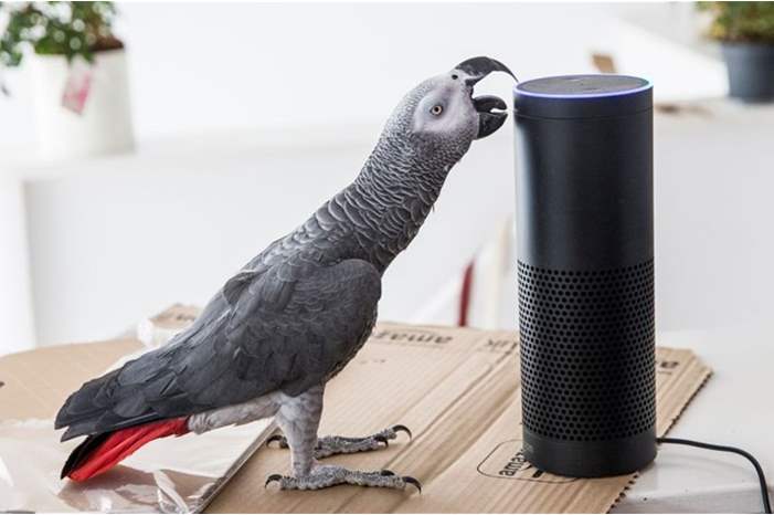 News-P-416863-636806598184005522