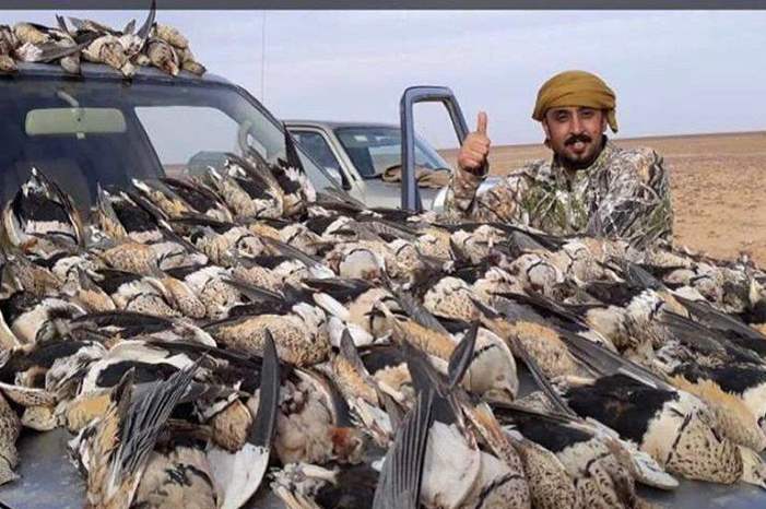 ebd26b00-c4f4-46ee-a749-ef5d49bc7aac