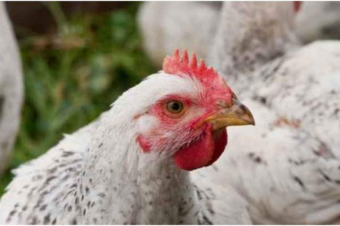 9ML7nnENxoOWzt536IR4HlsHoHlRLDAg1cYhCMpa