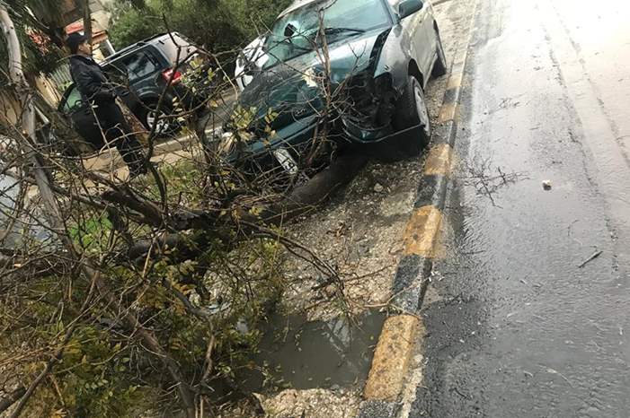 48371851_329356310997718_3172633577812656128_n