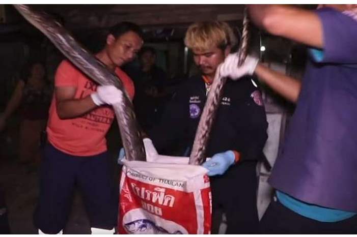 5c00ea90d437504a6b8b4609