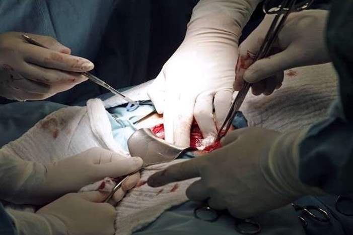 5c00f02895a59714178b45c3