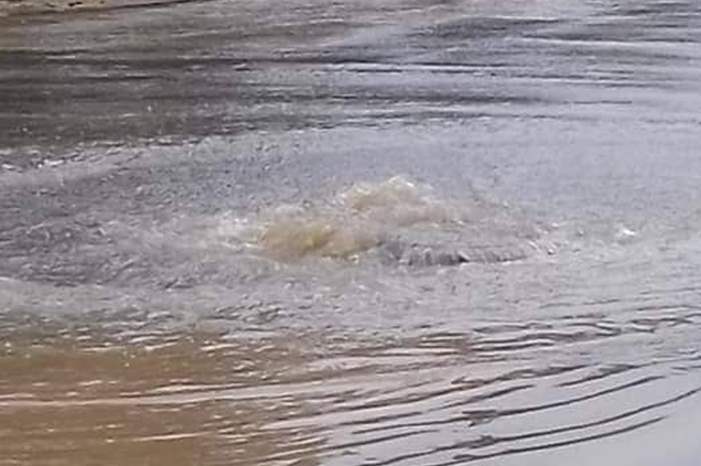 48404485_2049577355128251_2497367888843767808_n