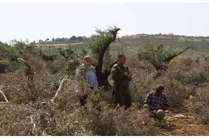 di5lcgw3qnaegvuympowqg-thumbnail-720x720-70-jpg-67562271544278994