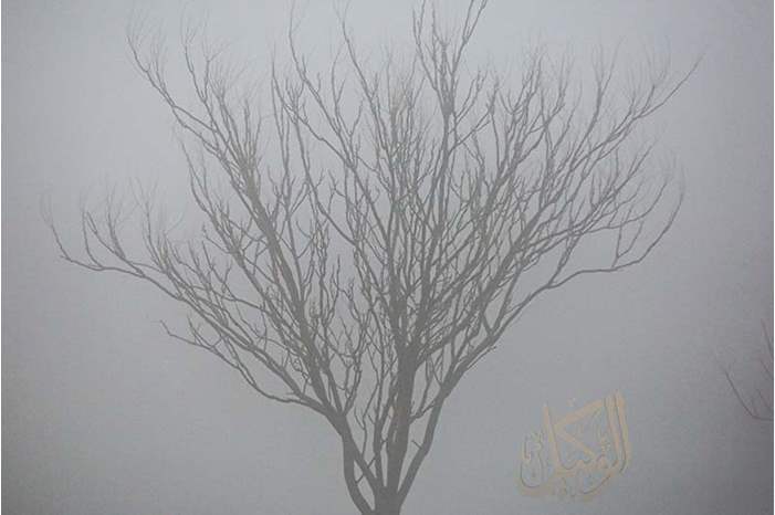 1220181293025570546372