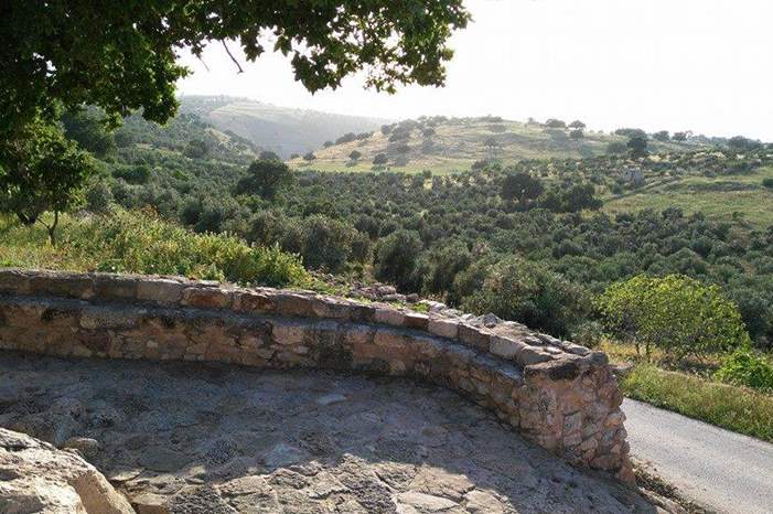 12993537_1108366595894536_1277907471806989695_n