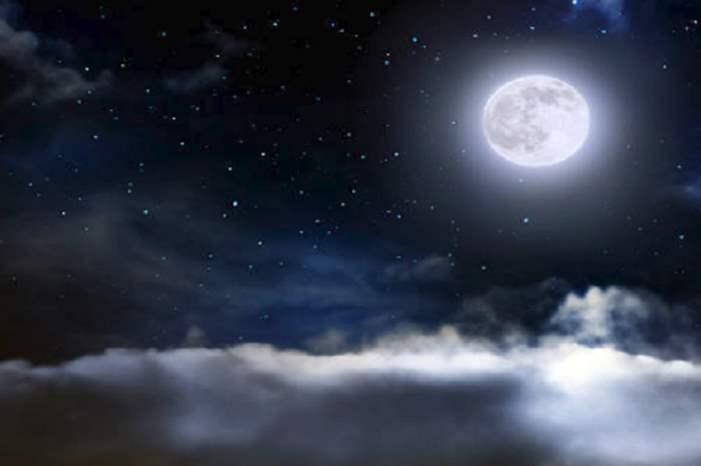 5c261aded437506b028b45a1