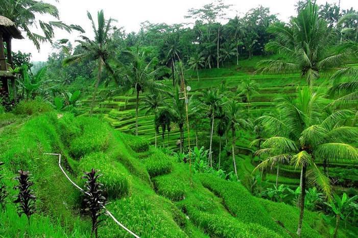 5148499582_6cf17579b1_b1