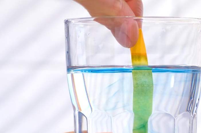 4961e8a8-67c0-4c11-b1a4-6ae5d8c66d2f_16x9_1200x676