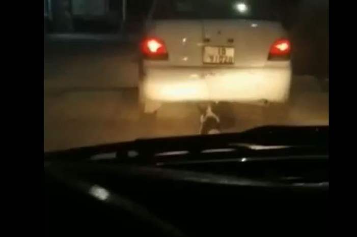 1220183123220797248390