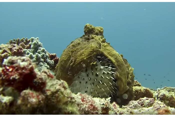 5c04e87195a597063b8b4609