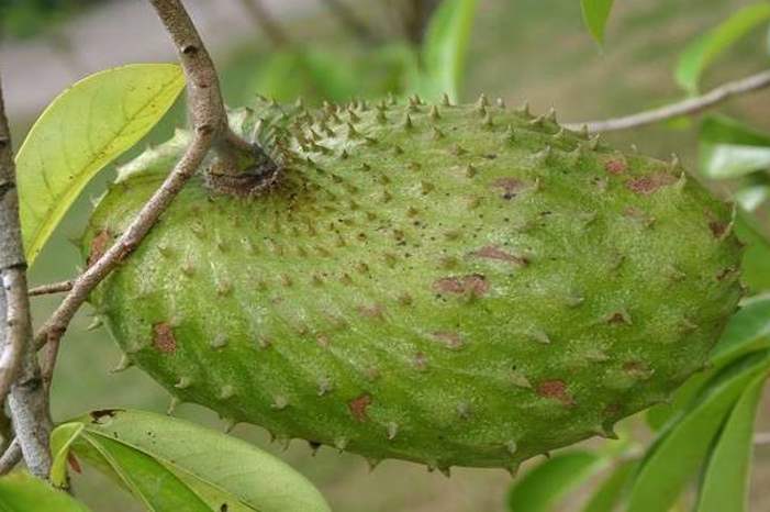 5c013b02d43750af3a8b45ad