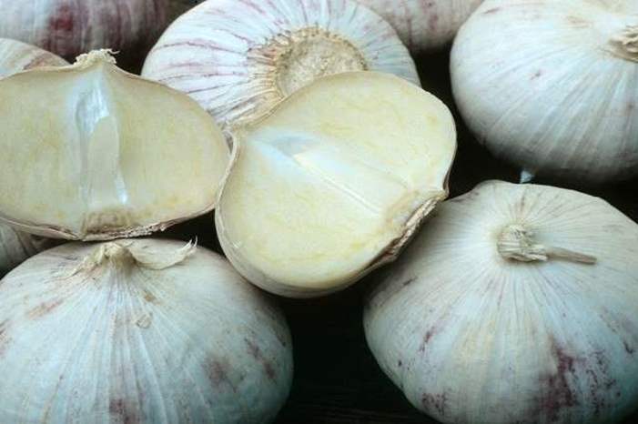 5bffcd59d4375069588b4575