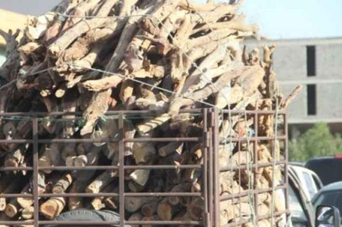 مركبة محملة بالحطب