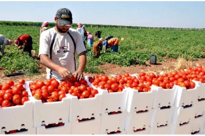 92a08aa108ebd5266f2c3370426c4e3e