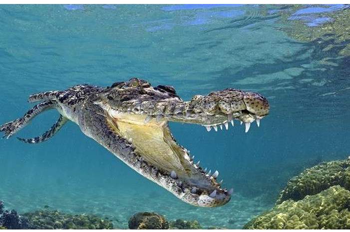 5c06345295a597103f8b45cc