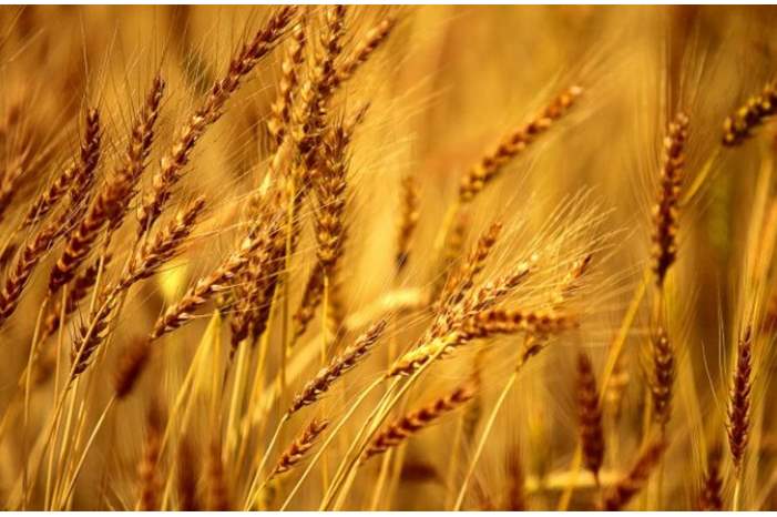 f5af11f18d6cdcff93ec5b7de1a944dc