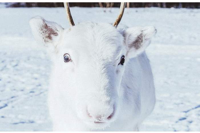 5c0796a5d43750e8598b45ce