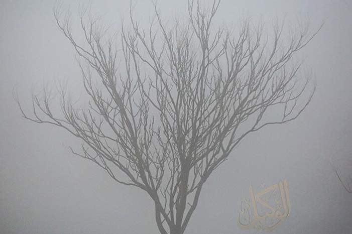 أجواء الشتاء والضباب