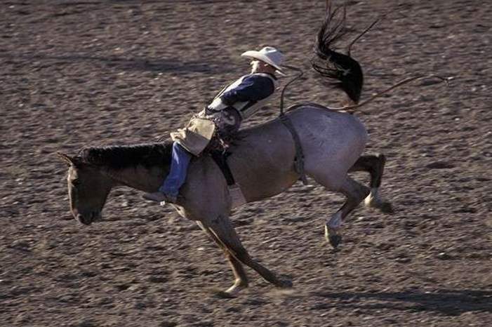 5c07dfb1d43750752e8b456a