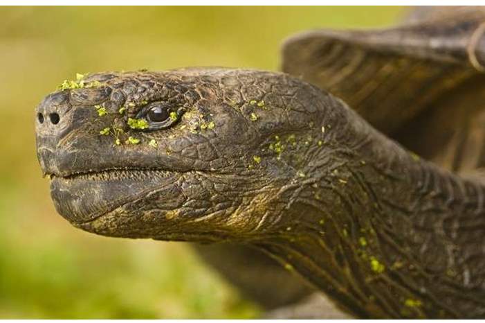 5c08d21dd4375009718b4573