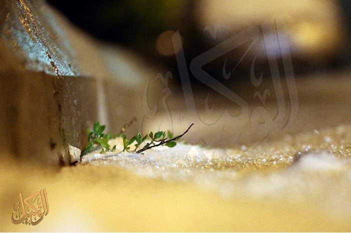 رغم الصعاب .. استطاعت ان تشق طريقها