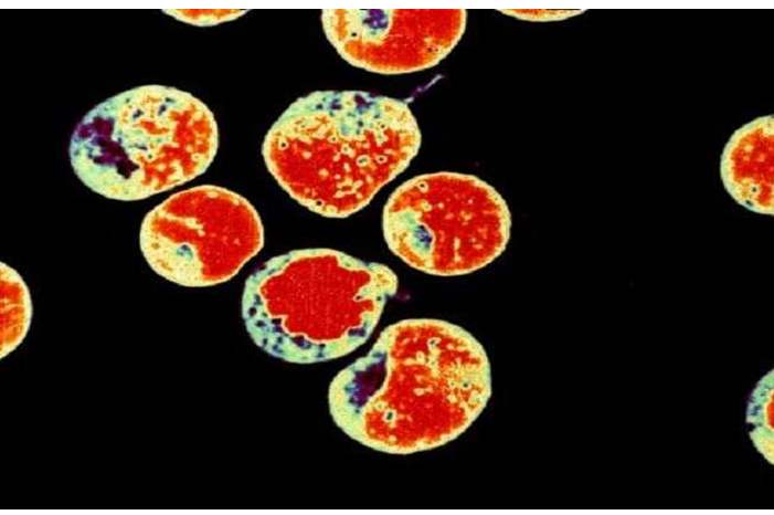 5c5c15d7d43750dc2c8b4622