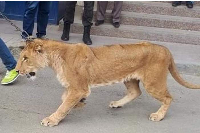 44b7be56-ad1c-4c3c-8e75-7edd7de1f61e_16x9_1200x676