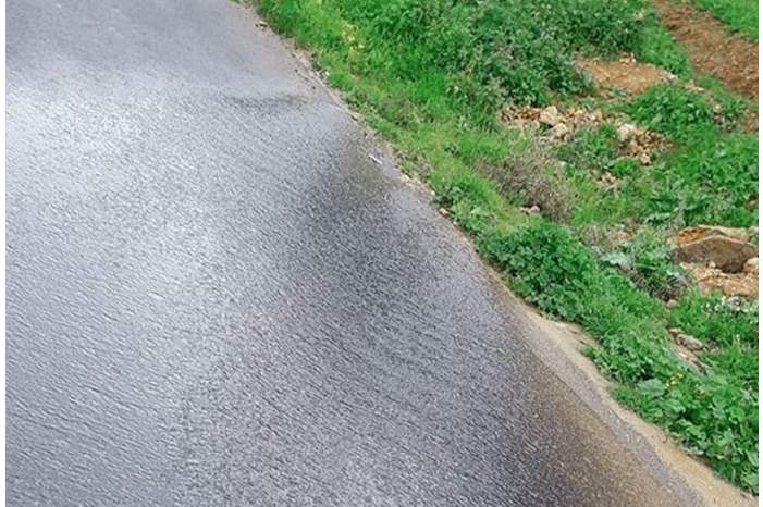 51253902_2124422810977038_1602841323390369792_n