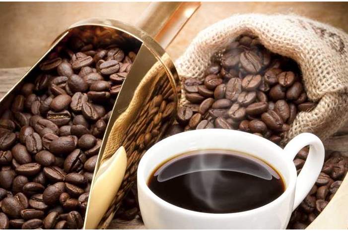 Doc-P-554944-636854159962640245