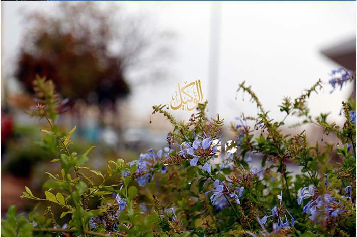 120192515176798564391