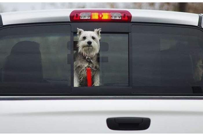 5c614d33d43750912a8b45da