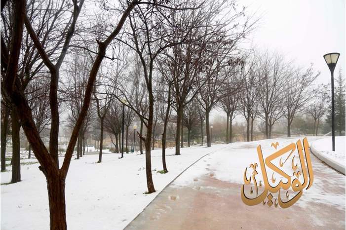 2201910135210416494844