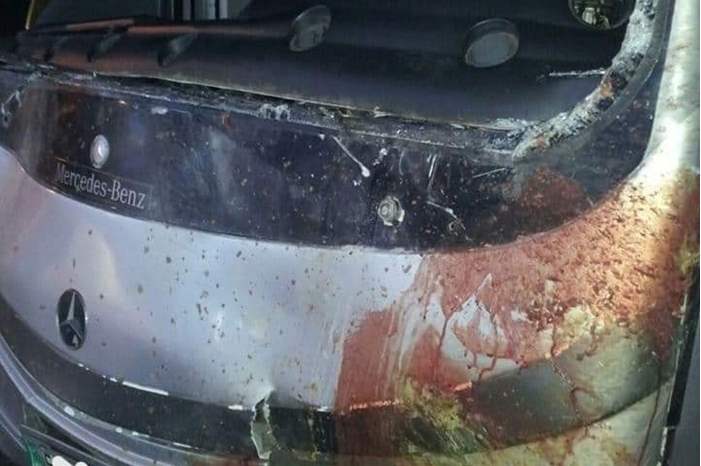 51459403_415953525878925_7581728827861106688_n