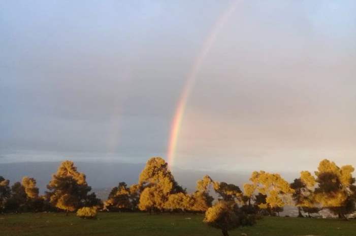 
منطقه زي / السلط