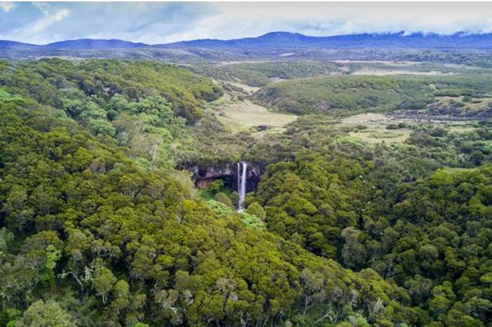 shutterstock_655816600-768x432