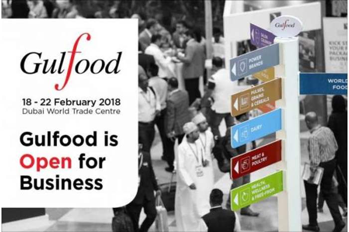 308684_25_1550058816