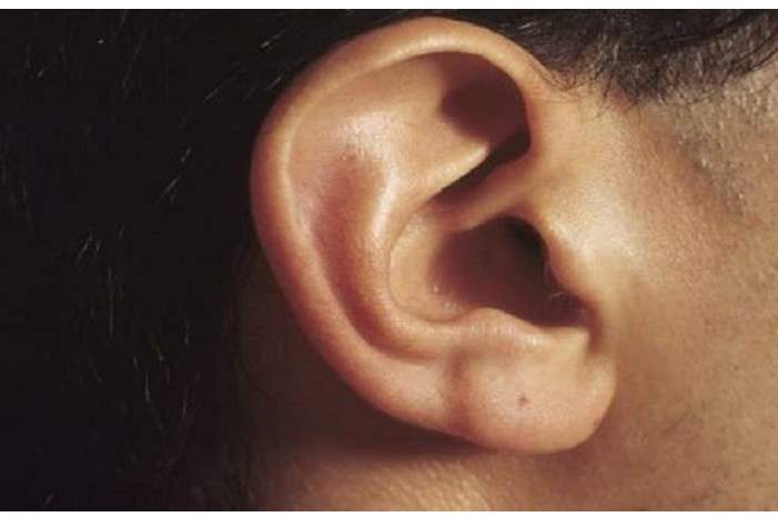 5c62932895a597e3308b4578