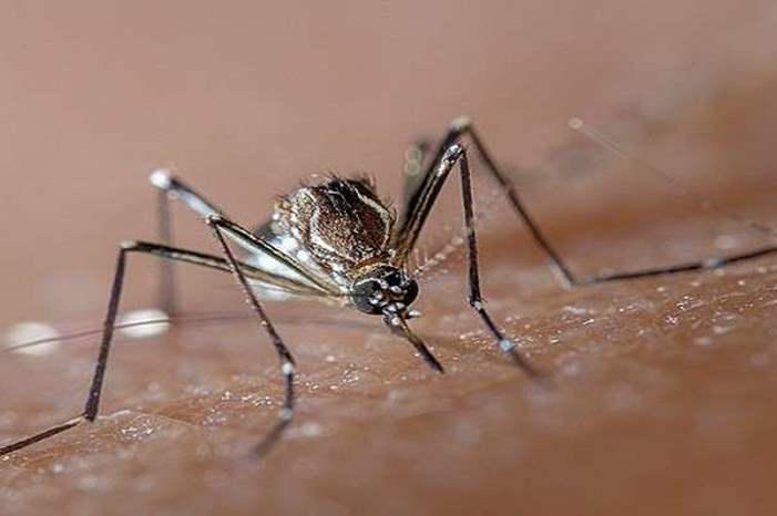 5c640381d4375004208b4627