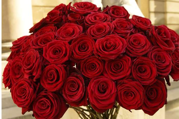 f3393978debb79f49e5ea5993053c4bf