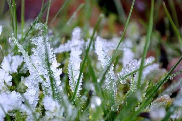 12201813143421584275045